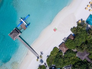 Aliquam sed augue tincidunt suscipit velit nec, malesuada mauris