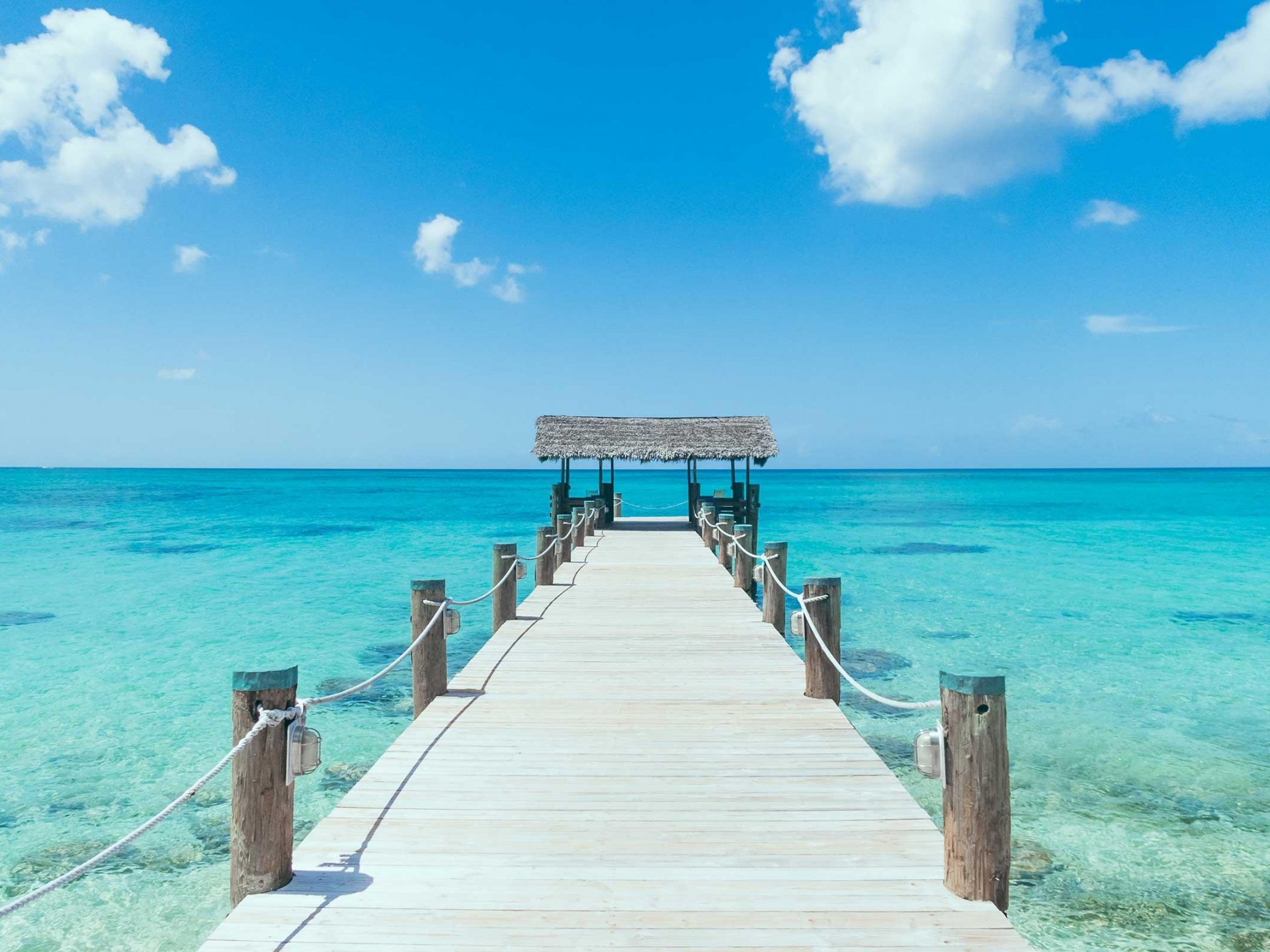 Aenean eget accumsan augue, nec aliquam tortor.