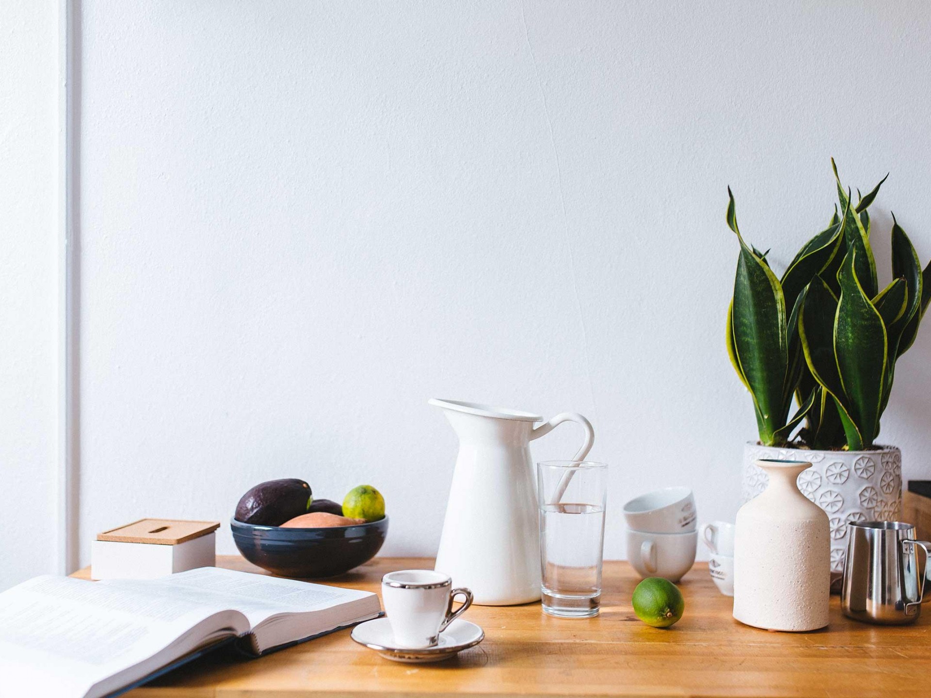 Morbi ornare elementum augue