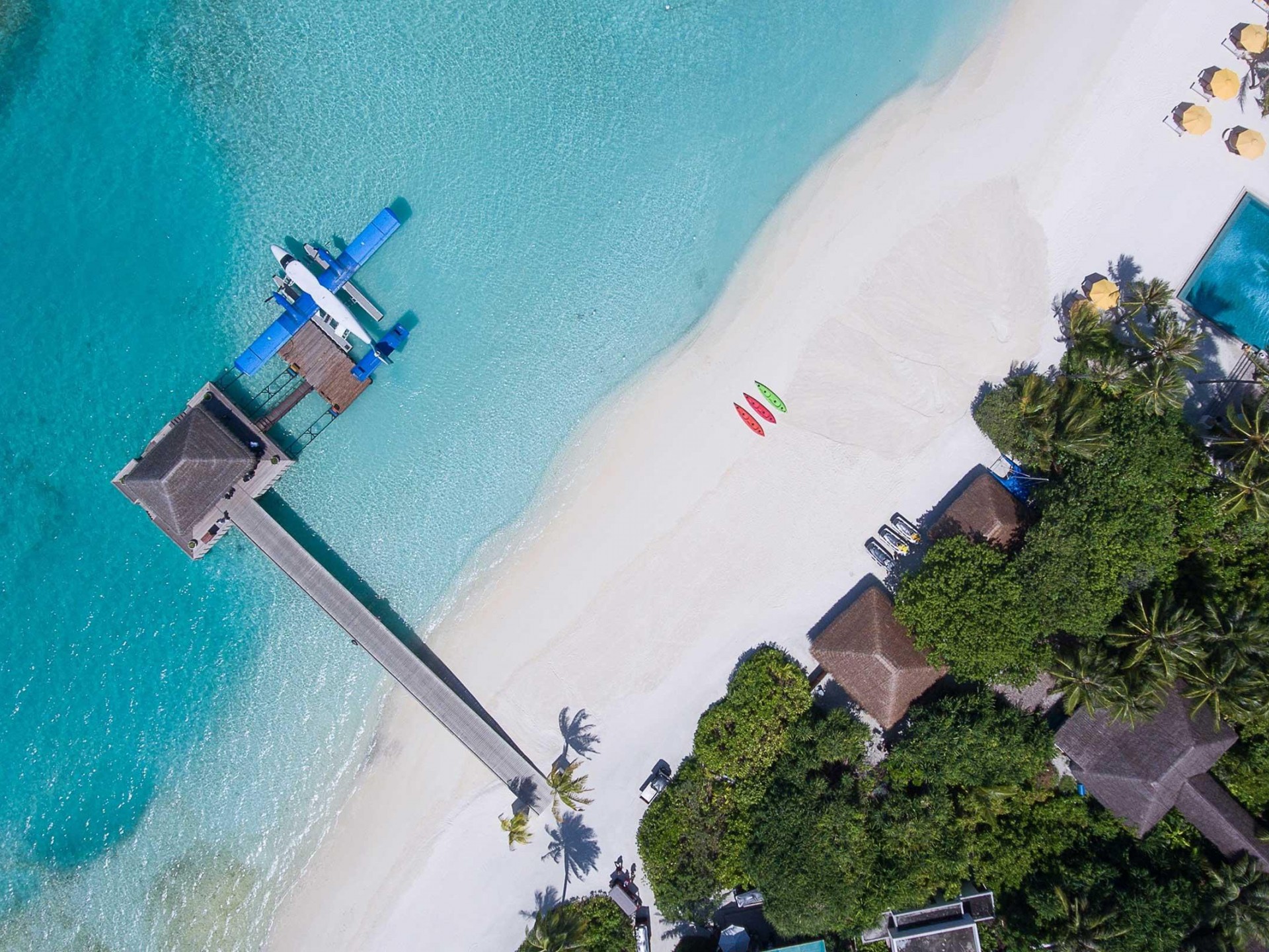 Aliquam sed augue tincidunt suscipit velit nec, malesuada mauris